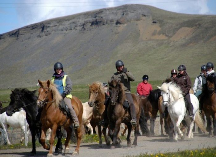 The Traveling Viking Iceland www.ttv.is