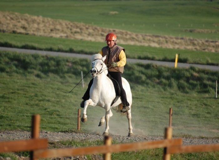 The Traveling Viking Iceland www.ttv.is