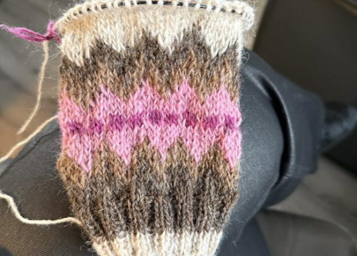 514005883_1404267700664992_4998185236135957859_n