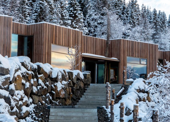 Forest Lagoon Combo tour www.ttv.is