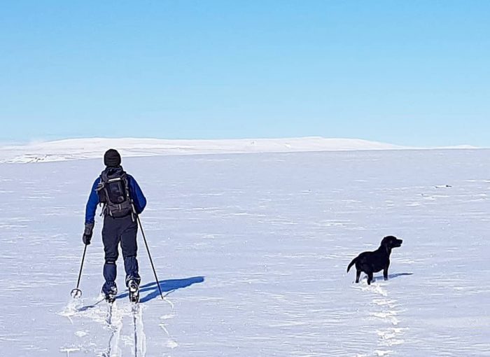 Skiing in Akureyri